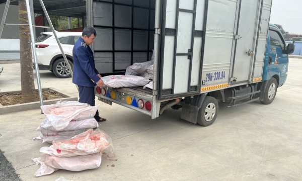 Hà Nội: Phát hiện 700 kg nầm lợn không rõ nguồn gốc