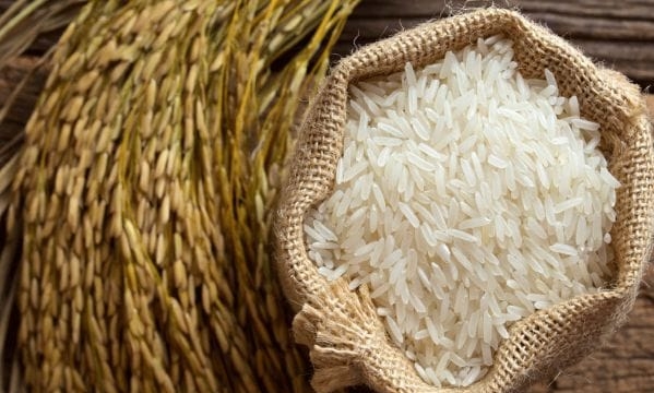 Bức tranh lợi nhuận doanh nghiệp ngành gạo không đồng nhất