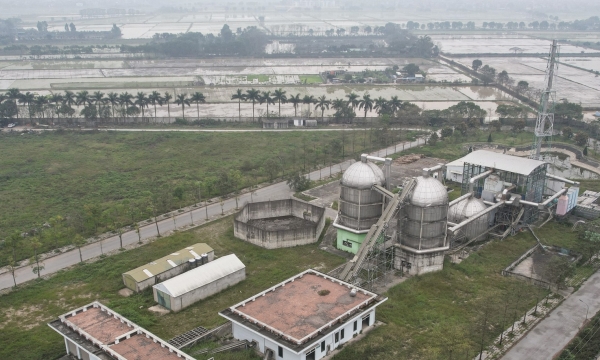 Hà Nội: Dự án nhà máy gần 800 tỉ đồng bỏ không nhiều năm, cỏ mọc um tùm