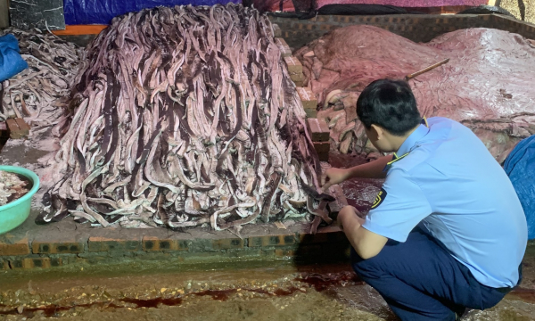 Phát hiện 1,6 tấn da trâu tươi đang bốc mùi hôi thối tại Hưng Yên