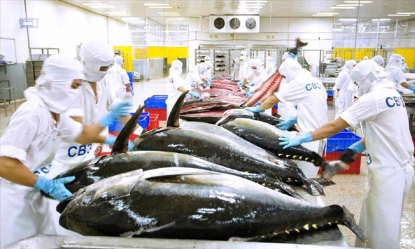 Xuất khẩu cá ngừ tăng đột phá tại các thị trường nhỏ