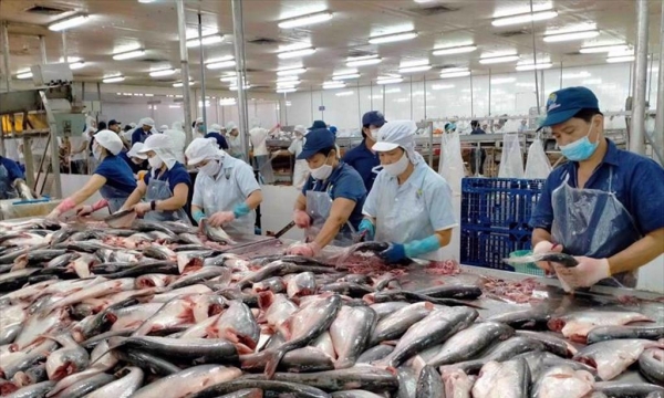 Xuất khẩu cá tra giảm 38% trong 2 tháng