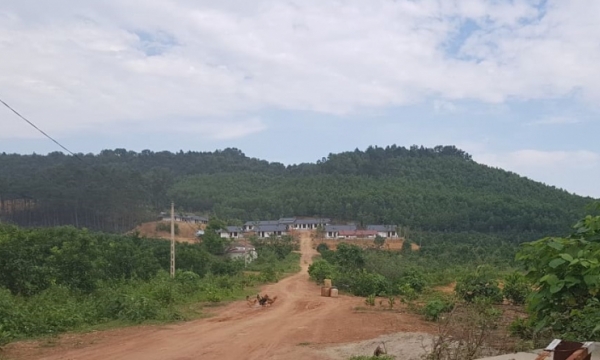 Hà Nội: Mạnh tay xử lý tình trạng xây dựng trái phép trên đất nông nghiệp