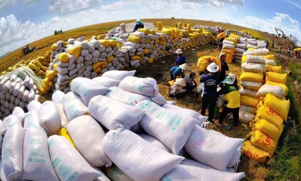 Phấn đấu đạt khoảng 25% gạo xuất khẩu trực tiếp mang nhãn hiệu Gạo Việt Nam vào năm 2030