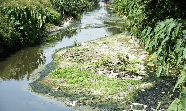Ảnh hưởng rác và nước thải công nghiệp, nông dân ngoại thành Hà Nội kêu trời vì năng suất giảm mạnh