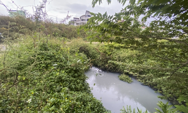 Đà Nẵng: Nước thải tràn ra sông Cẩm Lệ tại các cửa xả gây ô nhiễm