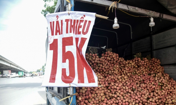Vải thiều 15.000 đồng/kg hút khách mua tại Hà Nội