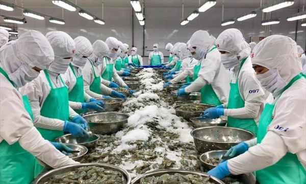 CPTPP vẫn mang lại lợi thế cho thủy sản Việt Nam