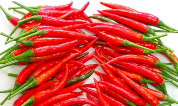 Hàn Quốc siết chặt kiểm tra ớt nhập khẩu từ Việt Nam