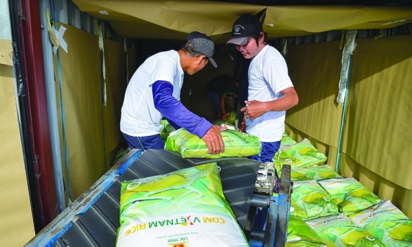Thị trường rộng mở, giá tốt, vì sao doanh nghiệp xuất khẩu gạo vẫn kêu khó?