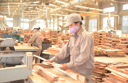Xuất khẩu gỗ và sản phẩm từ gỗ có thể đạt 14,5 tỷ USD