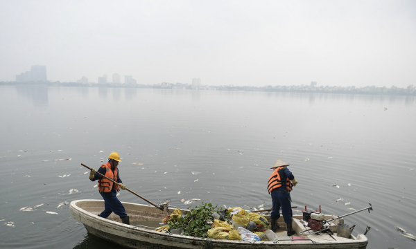Hà Nội: Lại tiếp tục xuất hiện cá chết hàng loạt tại Hồ Tây