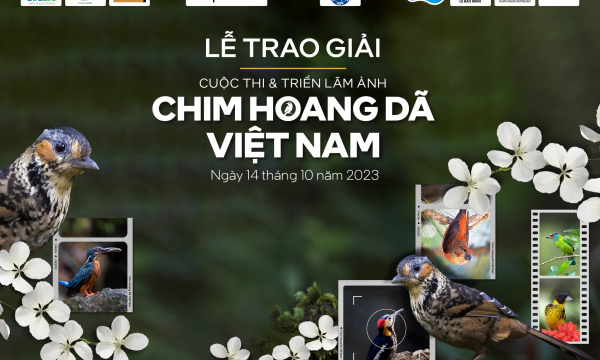 Chờ ngắm “Lễ trao giải và Triển lãm ảnh Chim hoang dã Việt Nam”