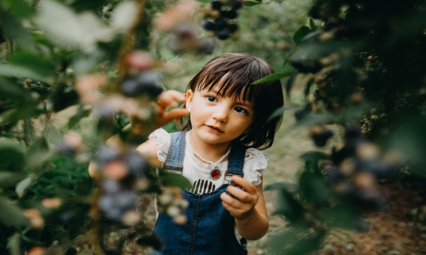 4 điều khác biệt mà cha mẹ Nhật Bản làm để nuôi dưỡng những đứa trẻ khỏe mạnh nhất thế giới