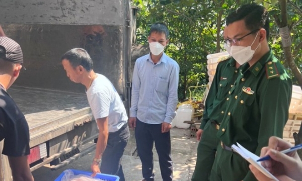 Thái Bình: Phát hiện hơn 3 tấn sản phẩm động vật bốc mùi ôi thiu