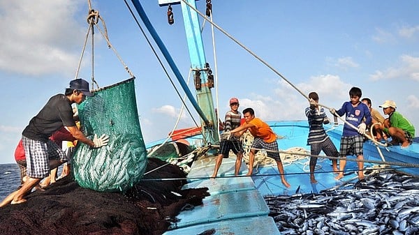 Tập trung thực hiện các nhiệm vụ, giải pháp cấp bách, trọng tâm chống khai thác hải sản bất hợp pháp