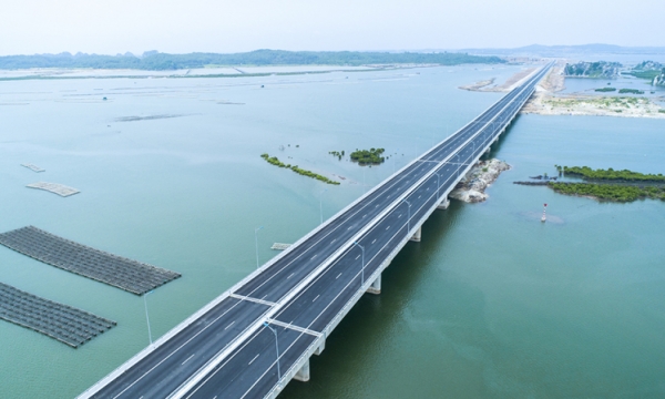 Cây cầu Việt Nam nằm trong top cầu dây văng có nhiều nhịp nhất thế giới, chi phí hơn 7.000 tỷ, chịu được động đất cấp 8