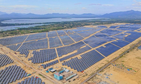 “Treo” hơn 6 năm, dự án điện mặt trời 2.600 tỷ ở Thanh Hóa đối diện nguy cơ bị thu hồi