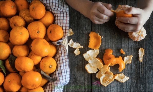 Loại vỏ trái cây mà người Việt thường bỏ đi, hóa ra lại là “thần dược đại bổ” cực tốt cho dạ dày và người bị bệnh đường hô hấp