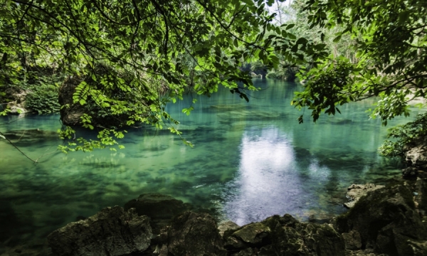 Chiêm ngưỡng dòng suối được mệnh danh là 'trái tim xanh' giữa núi rừng Pác Bó, nước trong vắt như dải lụa uốn quanh chân núi Các Mác
