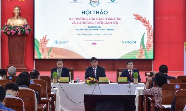 Cơ hội lớn cho gạo Việt Nam khi nhu cầu nhập khẩu của các nước tiếp tục tăng