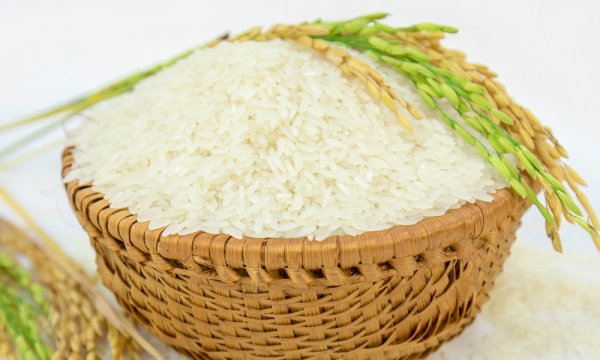 Mở rộng thị trường xuất nhập khẩu gạo