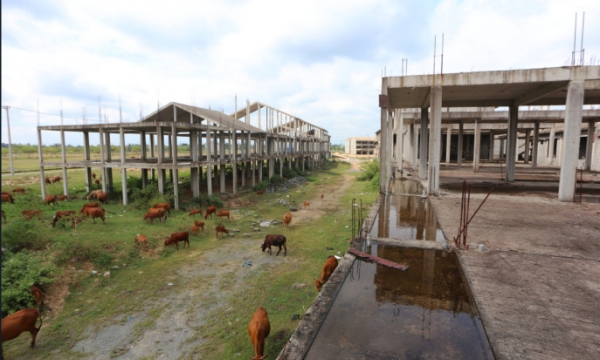 Cận cảnh loạt biệt thự, nhà liền kề hơn 4.200 tỷ thành nơi chăn thả bò ở Quảng Nam