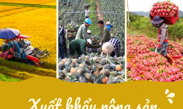 Xuất khẩu nông sản vượt mốc 53 tỷ USD trong năm 2023