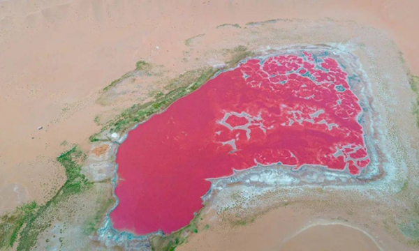 Độc đáo hồ nước có màu hồng bí ẩn, được ví như trái tim đang đập giữa lòng sa mạc lớn thứ 4 thế giới