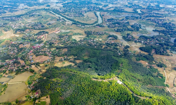 Phát hiện rừng thông xanh thơ mộng, cảnh sắc đẹp như phim tọa lạc trên một ngọn núi chỉ cao hơn 100m ở ngay miền Bắc Việt Nam, ít người biết đến