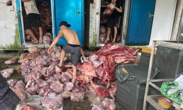 Phát hiện 3 tấn thịt lợn đổi màu, bốc mùi tại một kho thực phẩm ở Huế