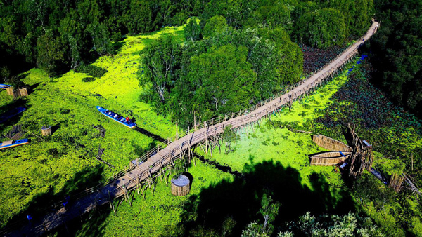 Khu rừng nằm lênh đênh giữa mặt nước được ví như ‘lá phổi xanh’ của hệ thống sinh quyển Tây Nam Bộ, bên trong chứa cây cầu tre xuyên rừng dài nhất Việt Nam