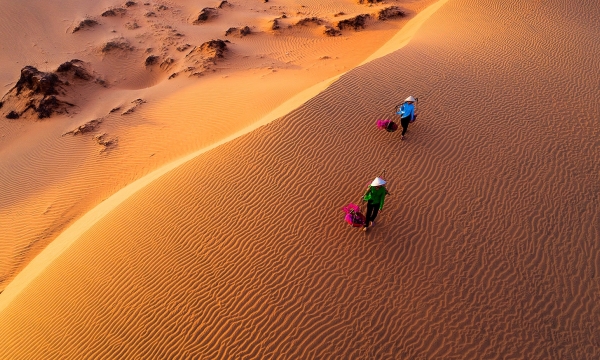 ‘Đồi cát bay’ rộng 50ha trải dài trên địa bàn 2 tỉnh, là đồi cát thay đổi hình dạng tự nhiên nhiều nhất Việt Nam