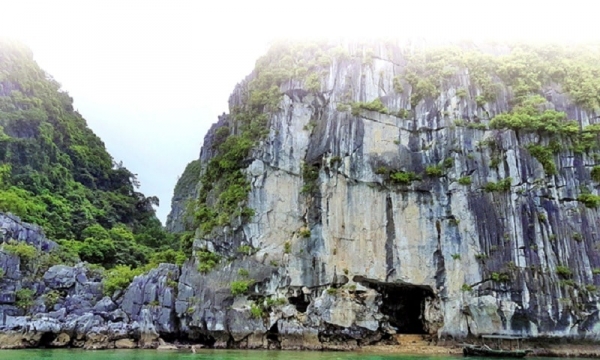 Khám phá hang động là tiên cảnh trong lòng Di sản thế giới rộng gần 700m2, vách đá có loài thạch sùng quý hiếm