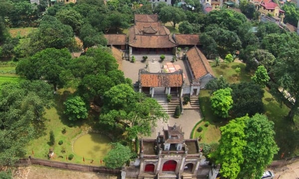 Tòa thành có niên đại cổ nhất Việt Nam, là nơi sở hữu cặp rồng đá nghìn năm tuổi vừa được công nhận bảo vật Quốc gia