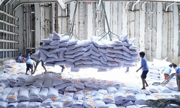 Việt Nam trúng 10/17 gói thầu 500.000 tấn gạo của Indonesia