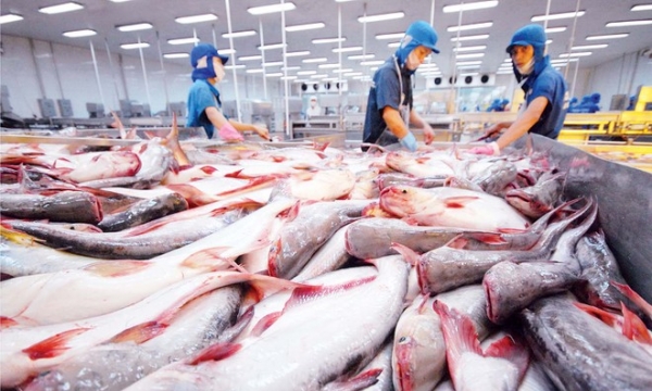 [Infographic] Xuất khẩu cá tra tăng 50% trong tháng đầu năm