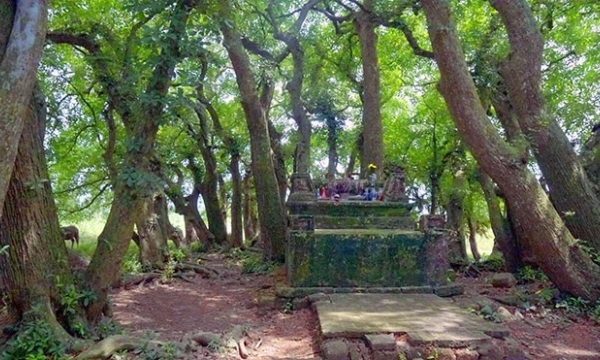 Bí ẩn ngôi mộ cổ linh thiêng bám đất Tổ hơn 1.000 năm được bảo vệ bởi hàng cây ‘báu vật’ mang con số phong thủy