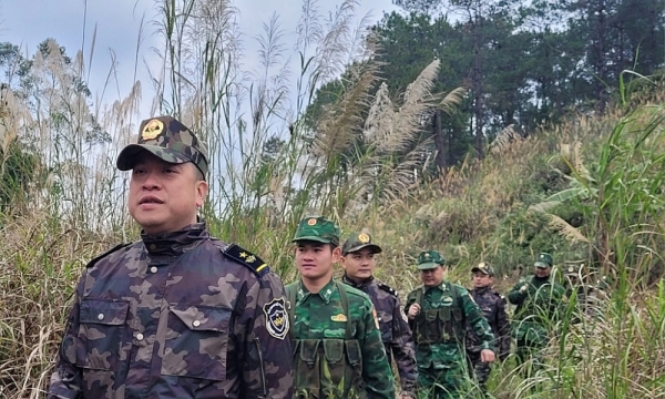 Lạng Sơn: Ngăn chặn gia cầm, sản phẩm gia cầm vận chuyển trái phép qua biên giới