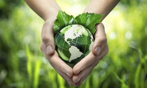 Đồng Nai: Thực hiện mục tiêu phát triển bền vững, phát triển xanh