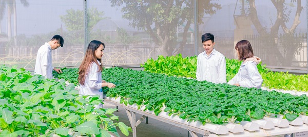 Thừa Thiên Huế: Ưu tiên hỗ trợ các mô hình nông nghiệp công nghệ cao