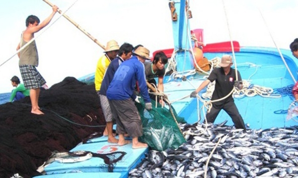 Đảm bảo không có sản phẩm thủy sản bất hợp pháp xuất khẩu ra nước ngoài