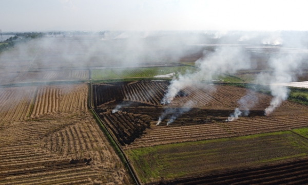 Giảm phát thải khí nhà kính trong nông nghiệp: Vì một Việt Nam xanh