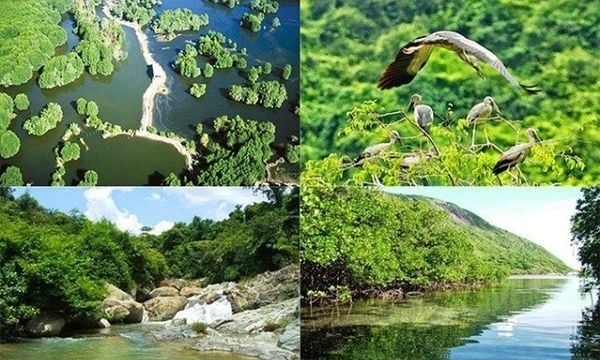 Khu rừng nguyên sinh ven biển duy nhất còn lại tương đối nguyên vẹn của Việt Nam nằm cách TP. HCM hơn 100km, được ví như ‘thế giới cổ tích’, chim bướm bay rợp trời