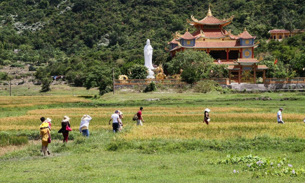 Việt Nam có ngôi cổ tự gần 300 năm tuổi trên đảo Cù Lao Chàm nổi tiếng với '4 không'