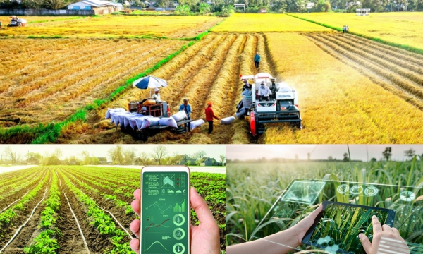 Khoa học và công nghệ: “Chìa khóa” để bứt phá năng suất trong nông nghiệp.