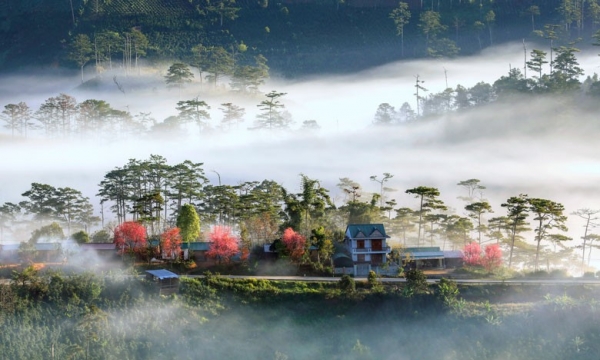 Ngôi làng tọa lạc trên cung đường hoa và biển, quanh năm ẩn mình trong sương mù, là bối cảnh phim của nhà sản xuất Việt nghìn tỷ