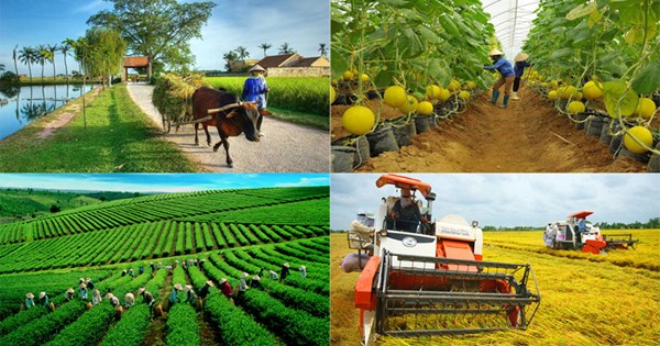 Phát triển nông nghiệp sinh thái, nông thôn hiện đại, nông dân văn minh