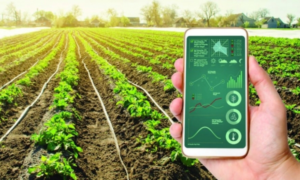 Thúc đẩy số hóa ngành nông nghiệp: Tăng năng suất lao động, đảm bảo chất lượng an toàn vệ sinh thực phẩm
