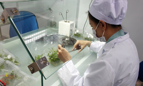 Trung tâm Ứng dụng KHCN tỉnh Lâm Đồng: Tiên phong trong nghiên cứu ứng dụng khoa học, chuyển giao công nghệ